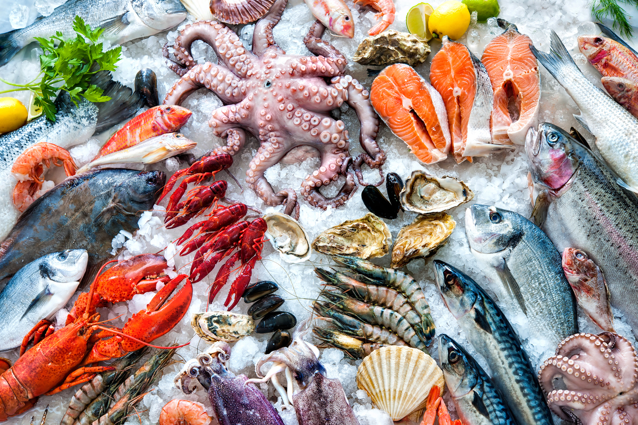 “Coastal Comfort: Navigating the Rich Flavors of Seafood Classics”